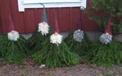 Adventstid på gårdsbutikerna runt Falköping! 🎄